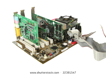 Video Card
